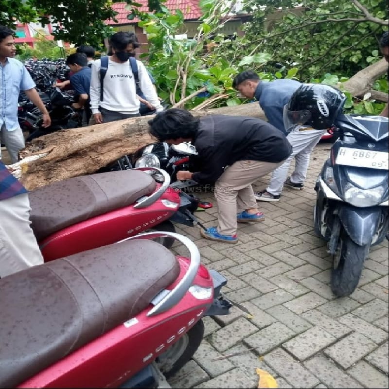 Beberapa mahasiswa FDK sedang berusaha menyelamatkan motor dari pohon tumbang di depan Labda FDK Kampus 3, UIN Walisongo, Semarang, Kamis (17/11/2022). (Twitter/@uinwsfess)