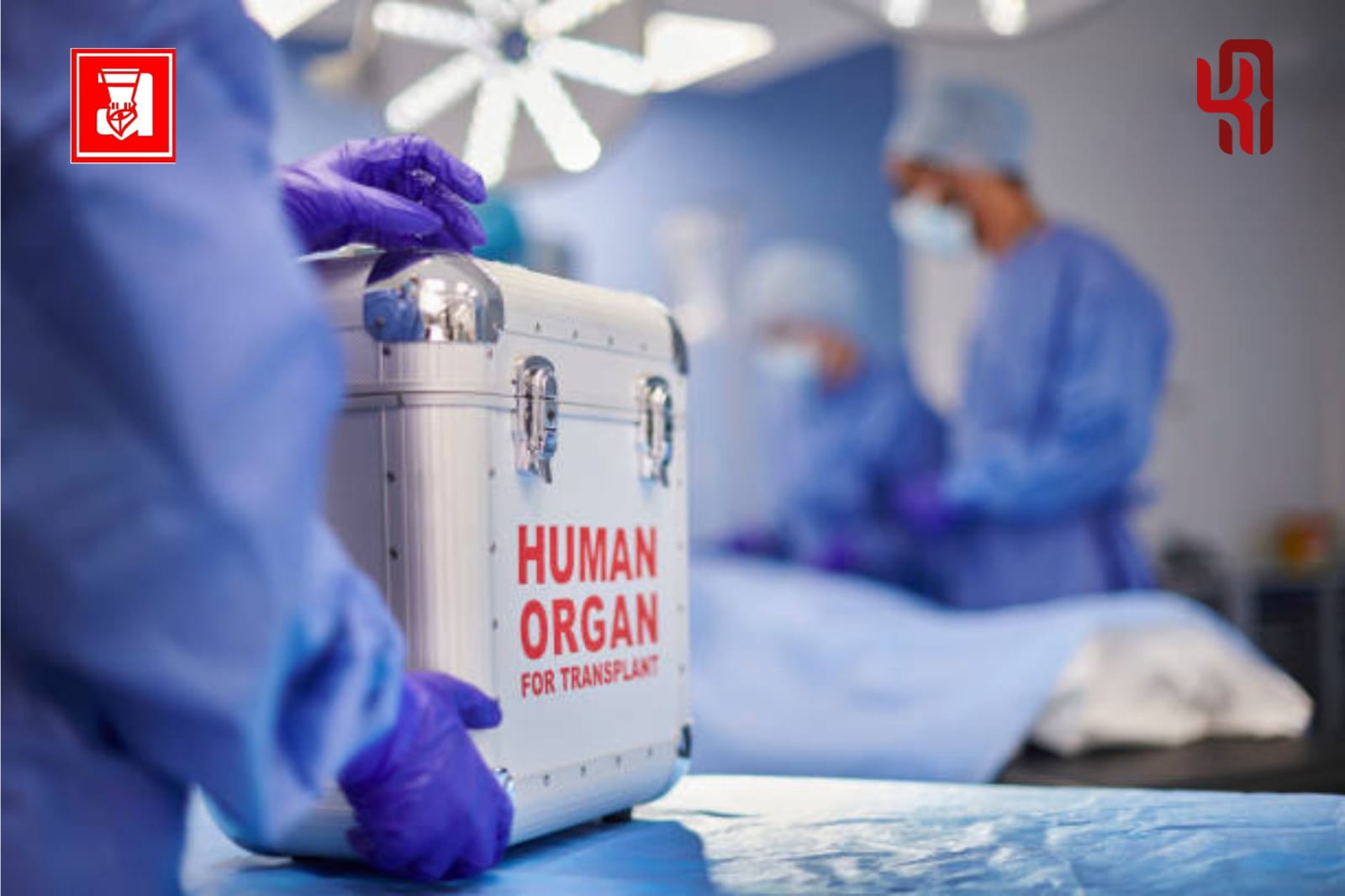 Agama dan etika, Transplantasi organ tubuh, Hukum transplantasi organ, Sejarah Transplantasi organ, Etika transplantasi organ, Penyalahgunaan transplantasi organ