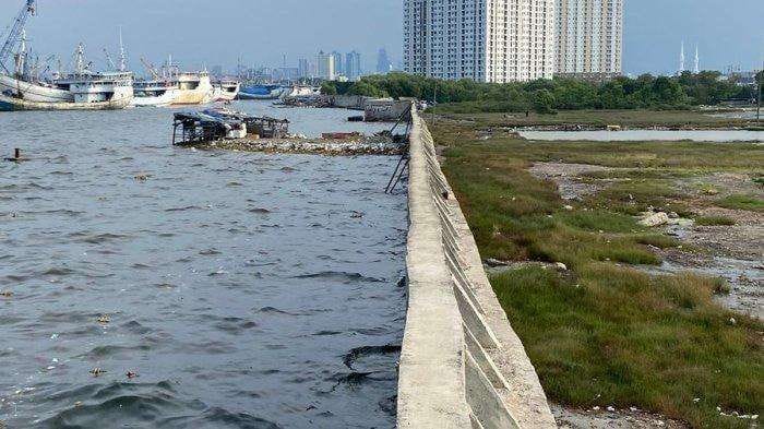 giant sea wall, banjir rob, penyebab banjir rob, proyek strategis nasional, solusi banjir rob